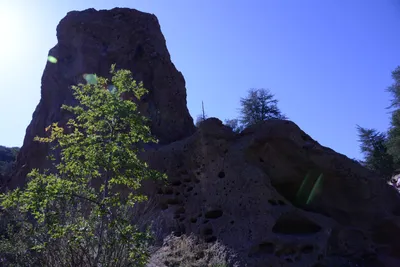 DSC_2035 (Large).JPG